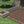 Paver Patio #06-042001-01