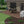 Paver Patio #06-042001-02