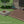 Paver Patio #06-042001-02