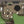 Paver Patio #06-057001-01