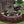 Paver Patio #06-060002-01