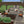 Paver Patio #06-063002-01
