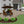 Paver Patio #08-039001-01