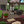 Paver Patio #08-042001-03