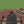 Paver Patio #10-040501-02