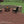Paver Patio #C-066501-02