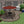 Paver Patio #S-029001-01