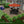 Paver Patio #S-030001-01
