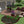 Paver Patio #S-032001-02