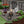 Paver Patio #S-047001-01